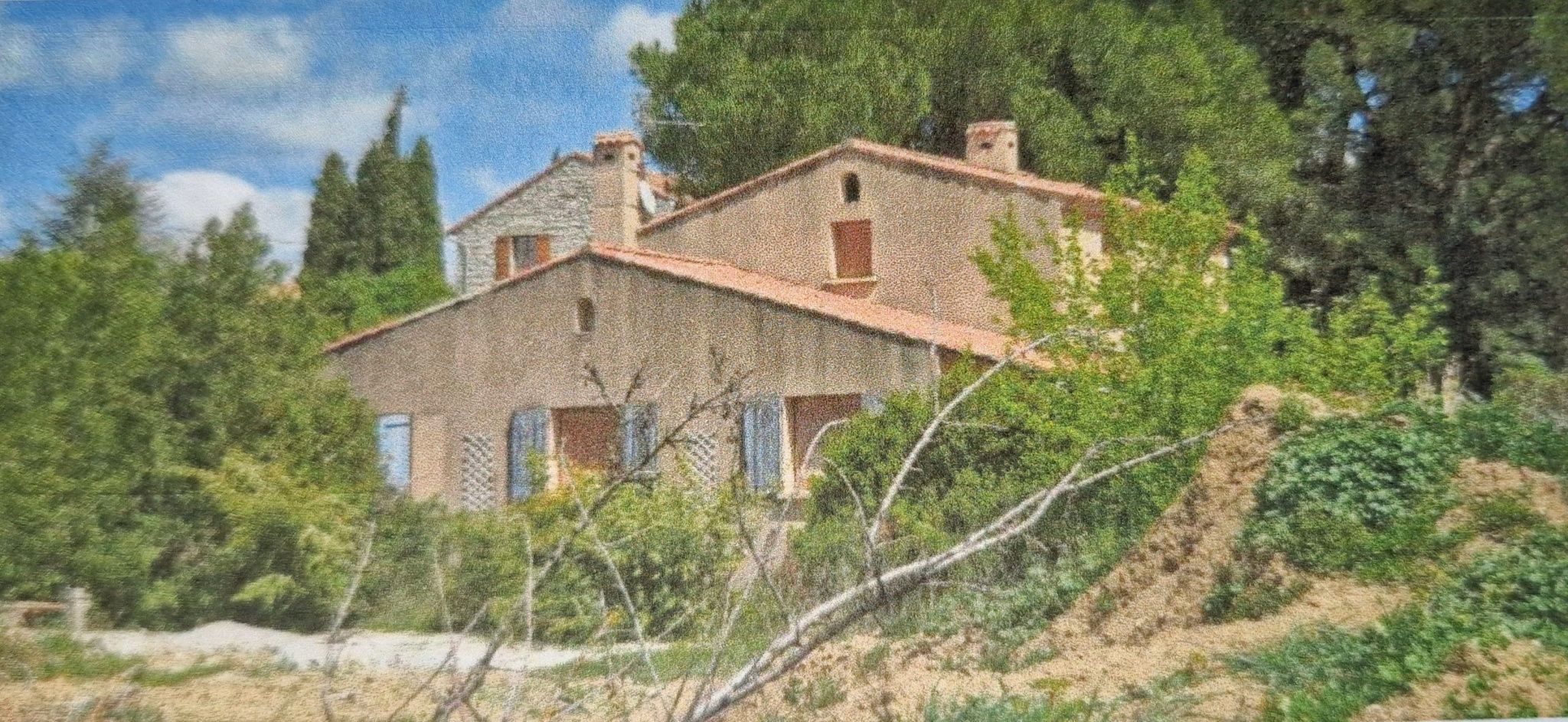 Photo 4